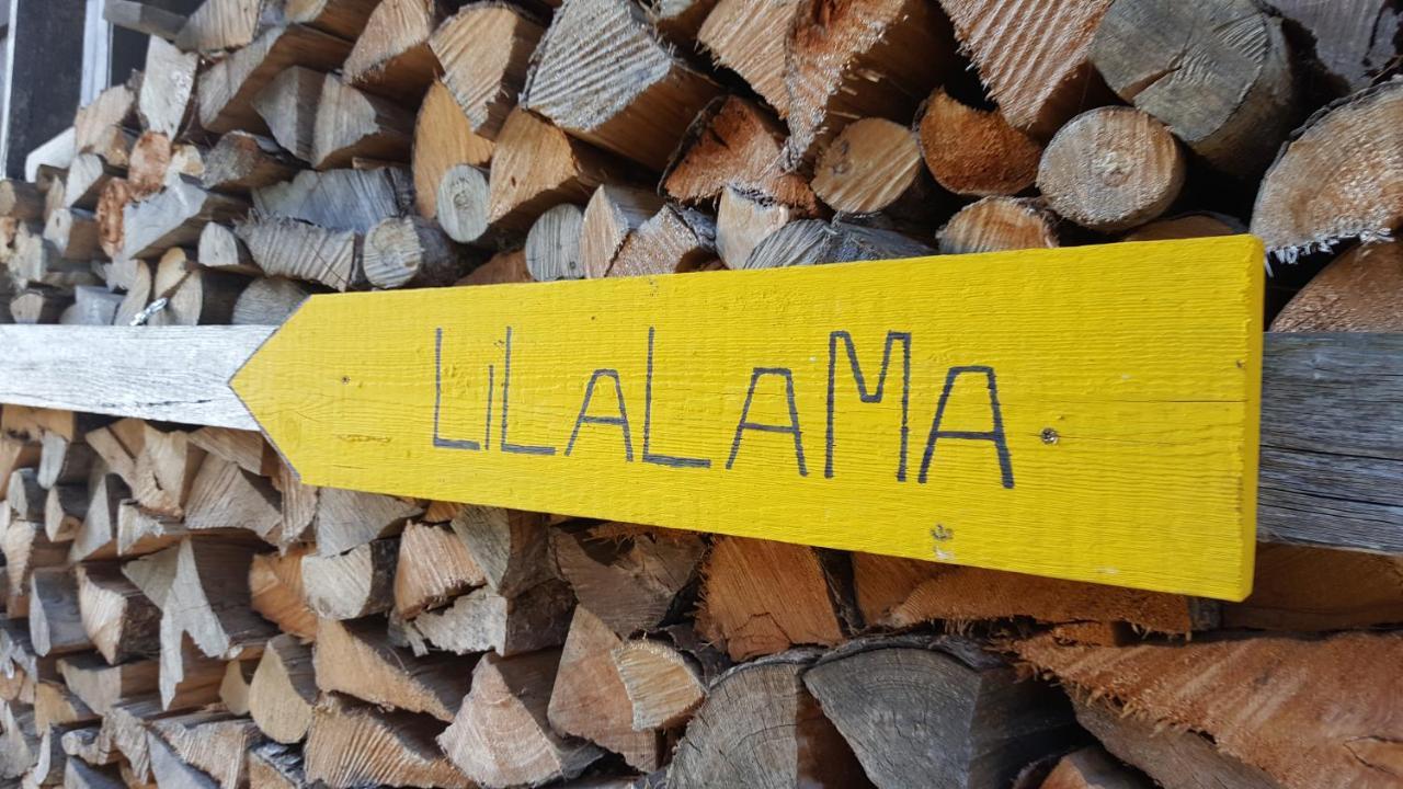 Apartment Lilalama グリンデルヴァルト エクステリア 写真