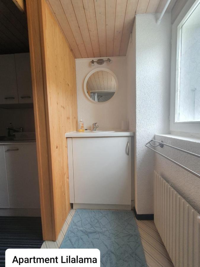 Apartment Lilalama グリンデルヴァルト エクステリア 写真