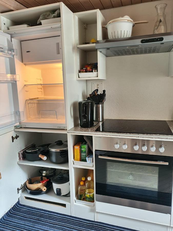 Apartment Lilalama グリンデルヴァルト エクステリア 写真