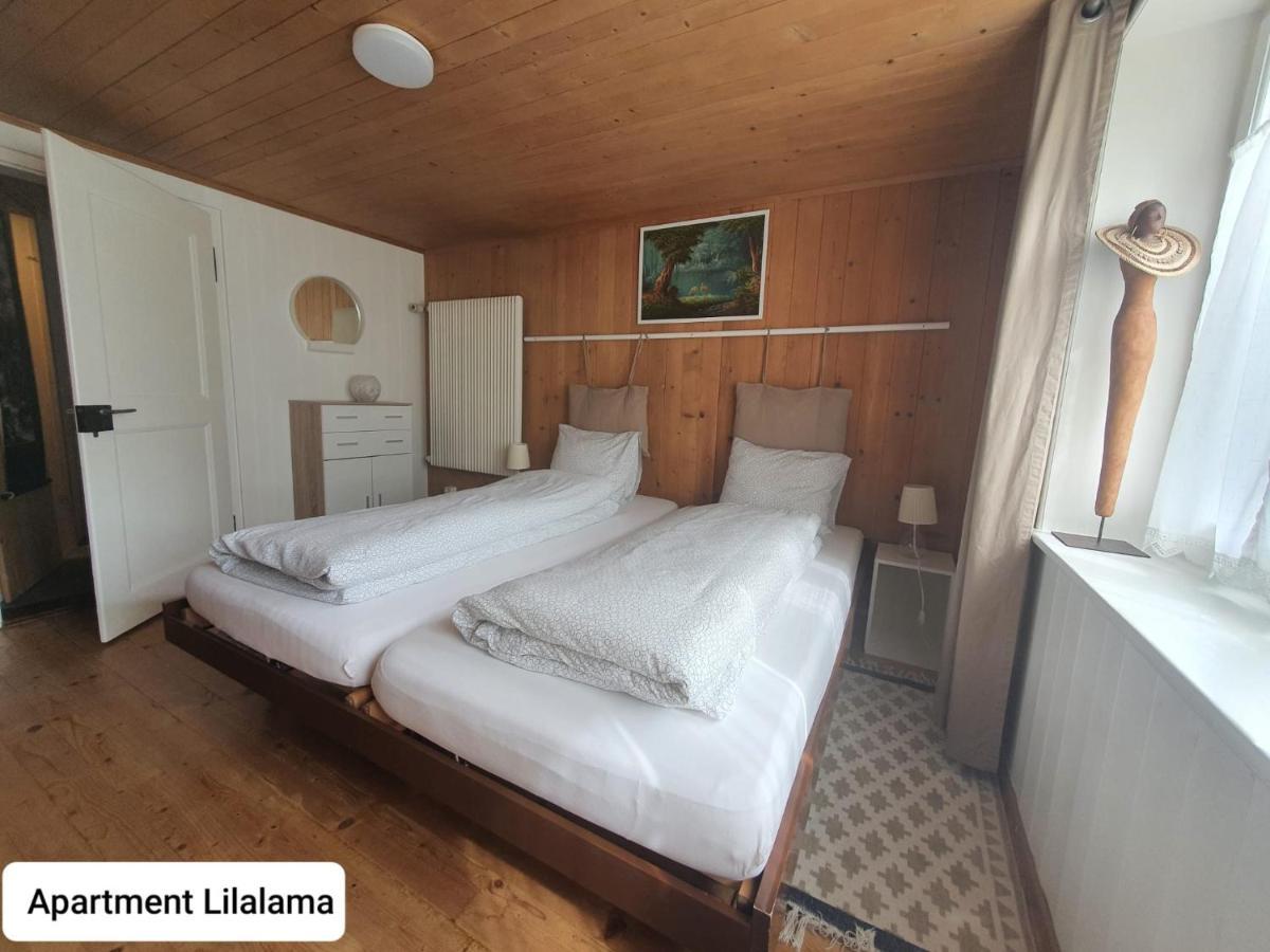 Apartment Lilalama グリンデルヴァルト エクステリア 写真